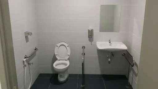 Senai Airport — Public washroom renovation — concourse & arrival hall, photo 2 of 3